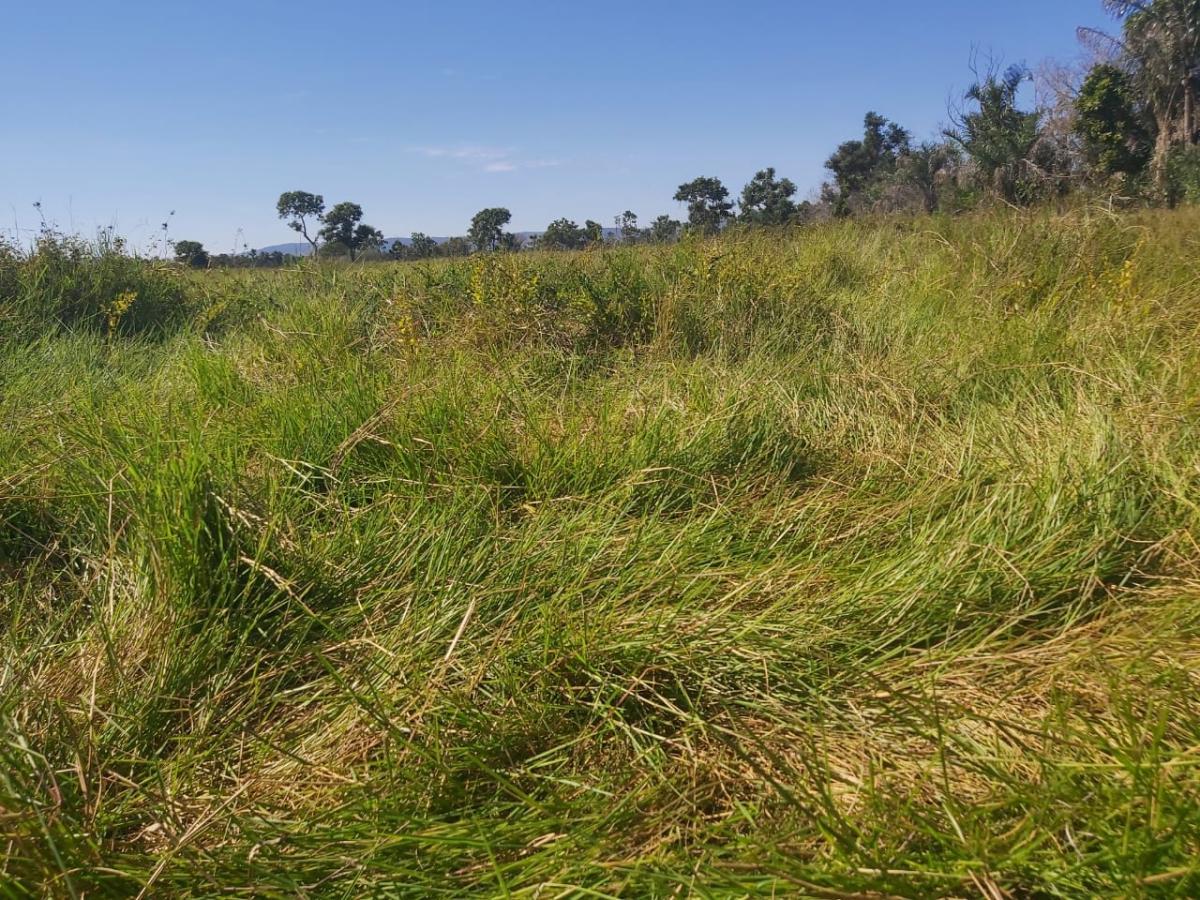 Chácara à venda, 1200m² - Foto 39