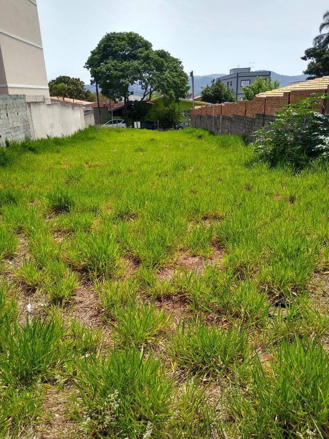 Terreno à venda, 390m² - Foto 6