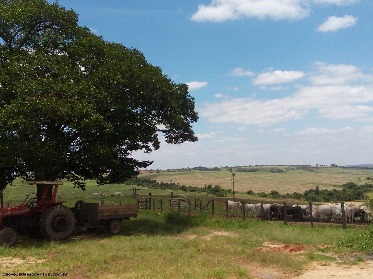 Chácara à venda com 2 quartos, 121000m² - Foto 23